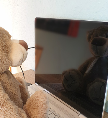contentbaer-bei-der-arbeit Der Contentbär bei der Arbeit
